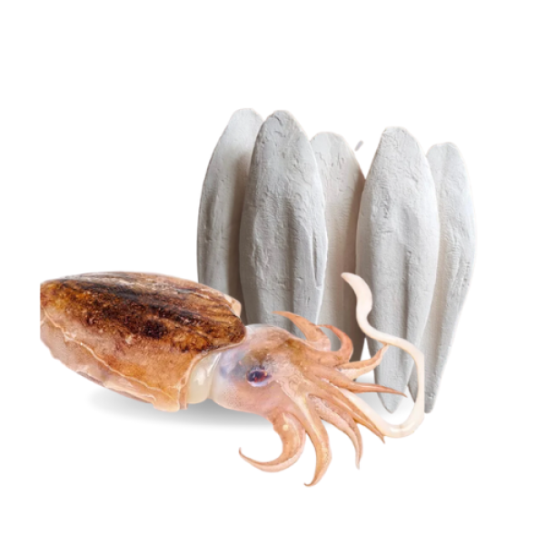 Cuttlefish Bone For Parrot
